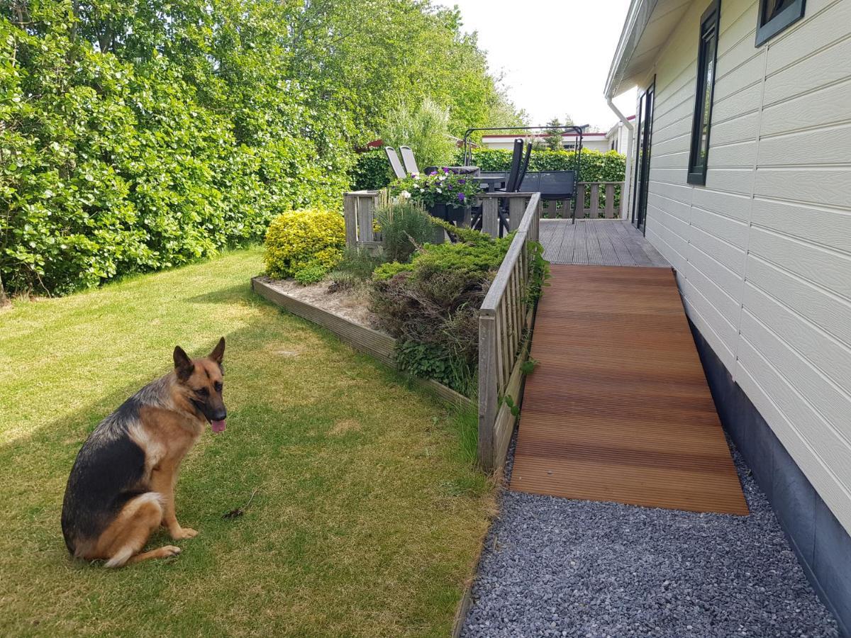 Vakantiehuis In Zeeland 신트 아날란트 외부 사진