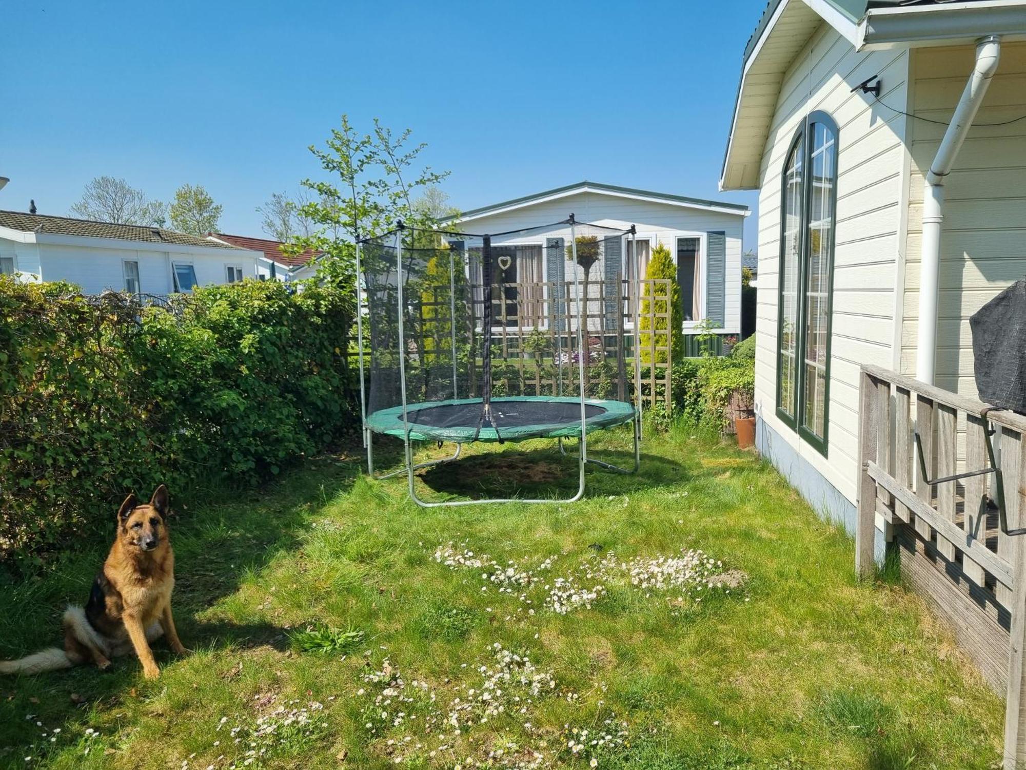Vakantiehuis In Zeeland 신트 아날란트 객실 사진